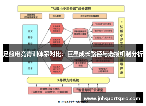 足篮电竞青训体系对比：巨星成长路径与选拔机制分析