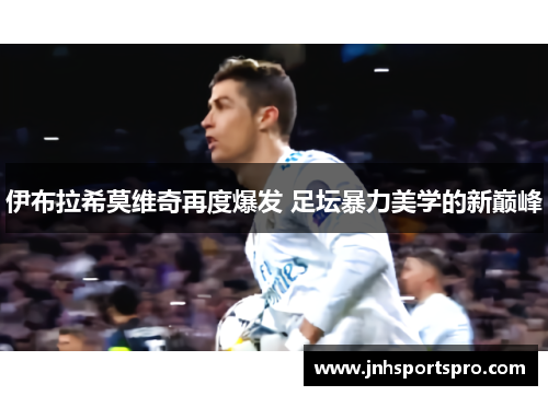 伊布拉希莫维奇再度爆发 足坛暴力美学的新巅峰