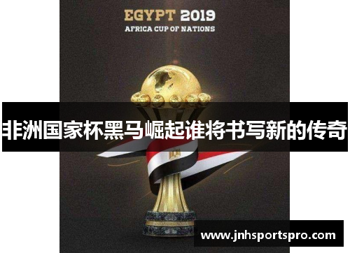 非洲国家杯黑马崛起谁将书写新的传奇